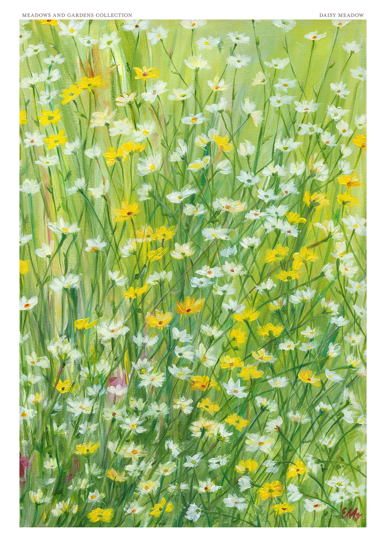 Daisy Meadow Fine Art Print