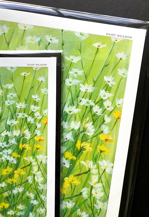 EM Daisy Meadow Fine Art Print - See Details