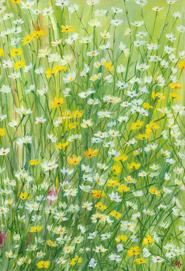 Daisy Meadow Fine Art Print - See Details