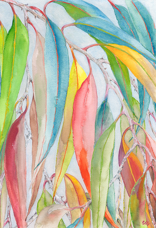 Colours of Australia: Eucalyptus Leaves Fine Art Print - See Details