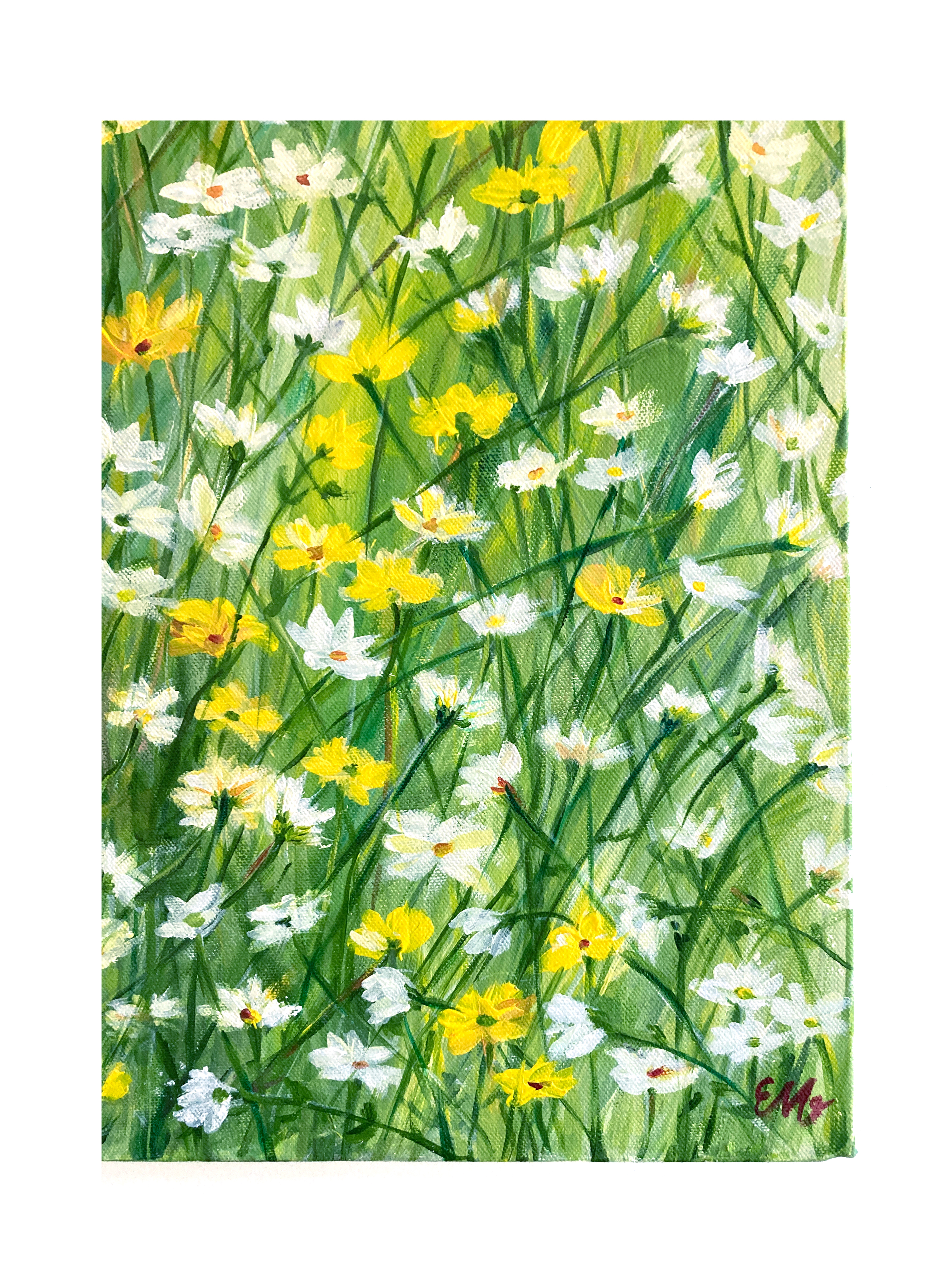 EM Daisy Meadow Original Art by Elena Panow