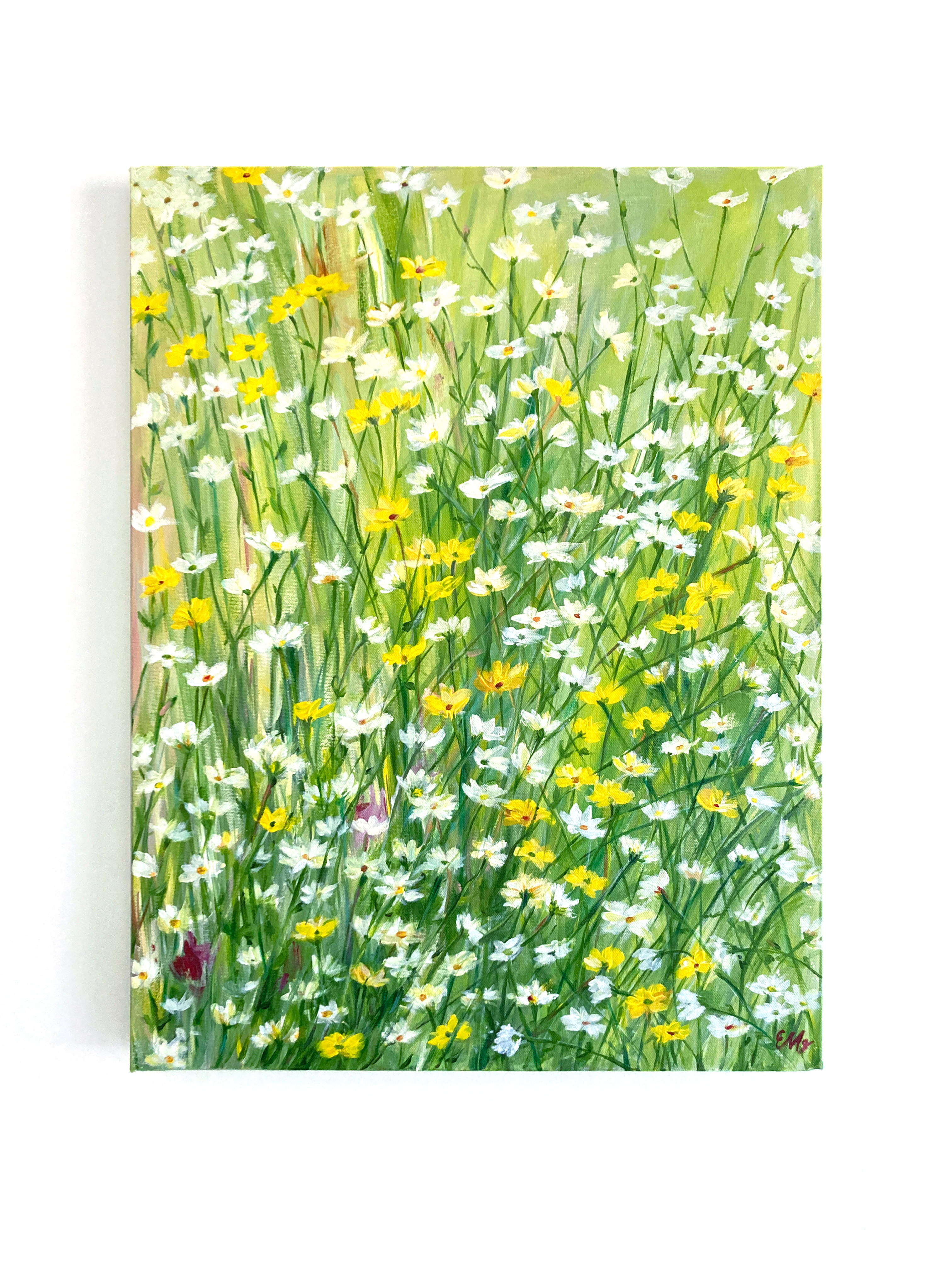EM Daisy Meadow Original Art by Elena Panow