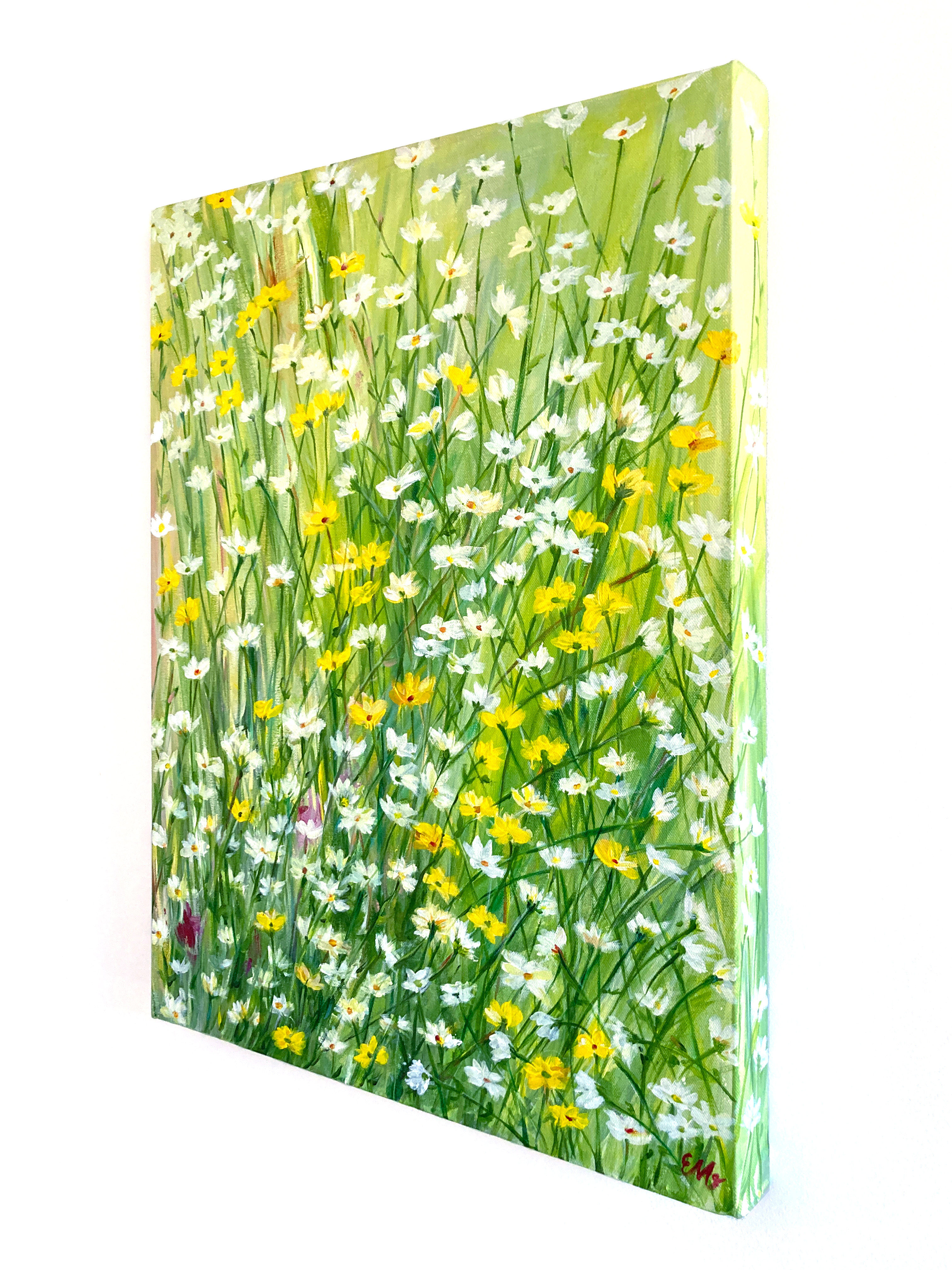 EM Daisy Meadow Original Art by Elena Panow