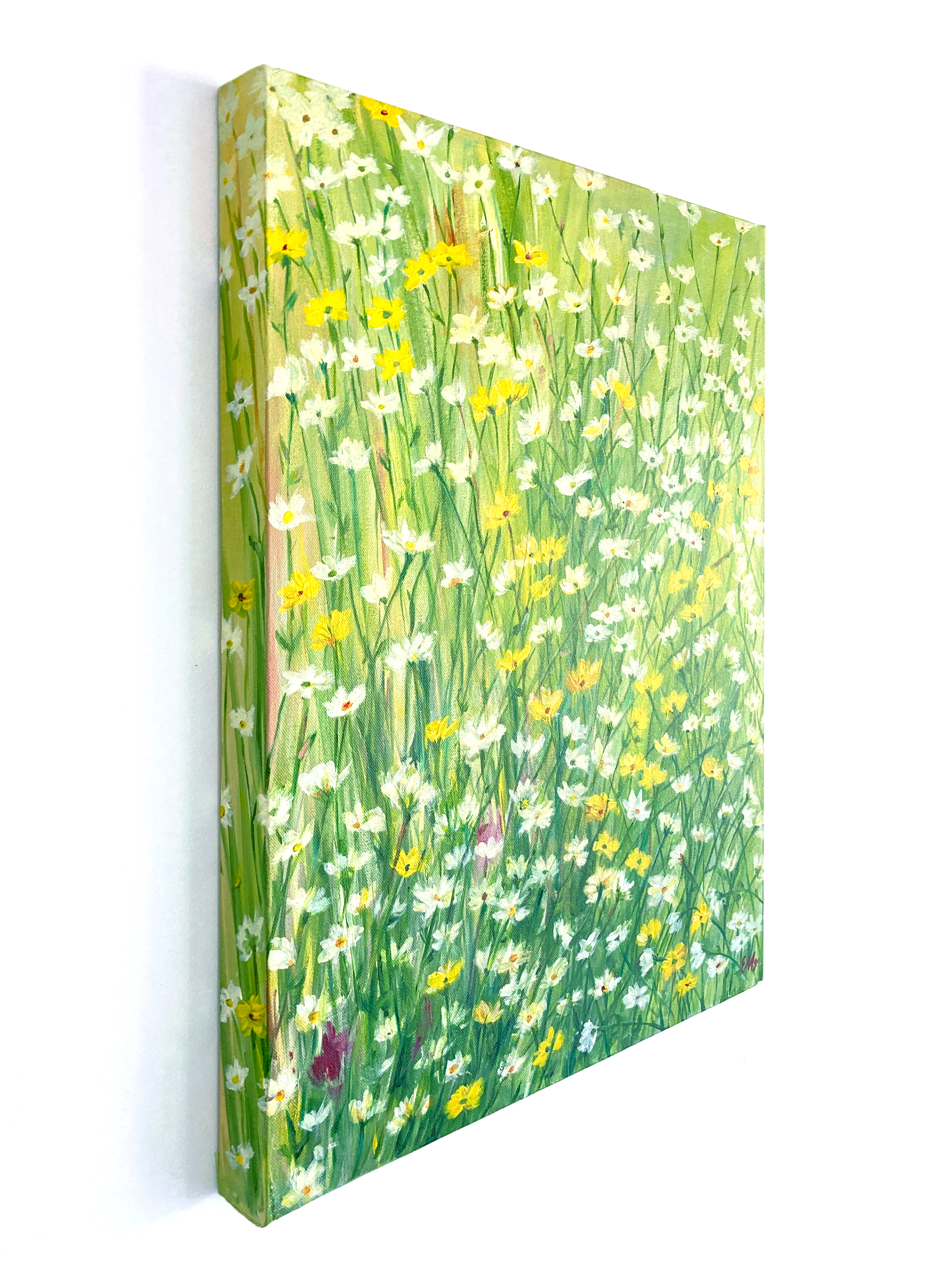 EM Daisy Meadow Original Art by Elena Panow