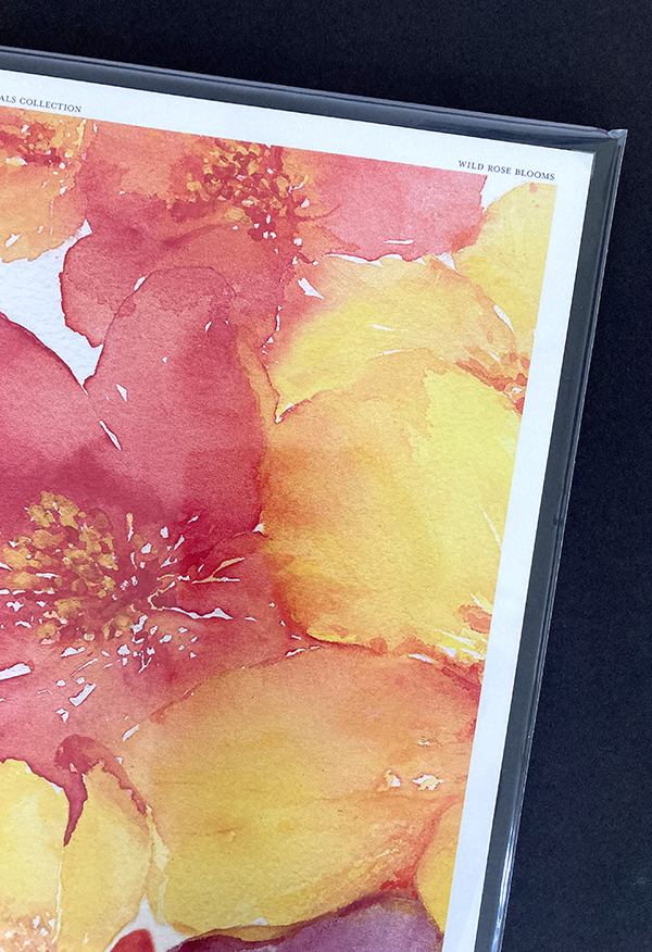 EM Wild Rose Blooms Fine Art Print - See Details