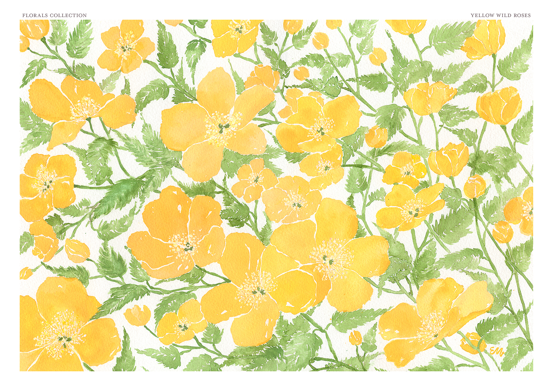 Wild Roses Fine Art Print